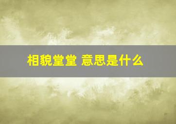 相貌堂堂 意思是什么